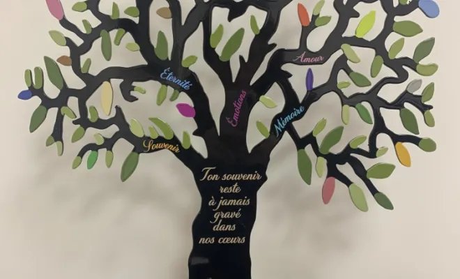 Arbre Olivier noir
